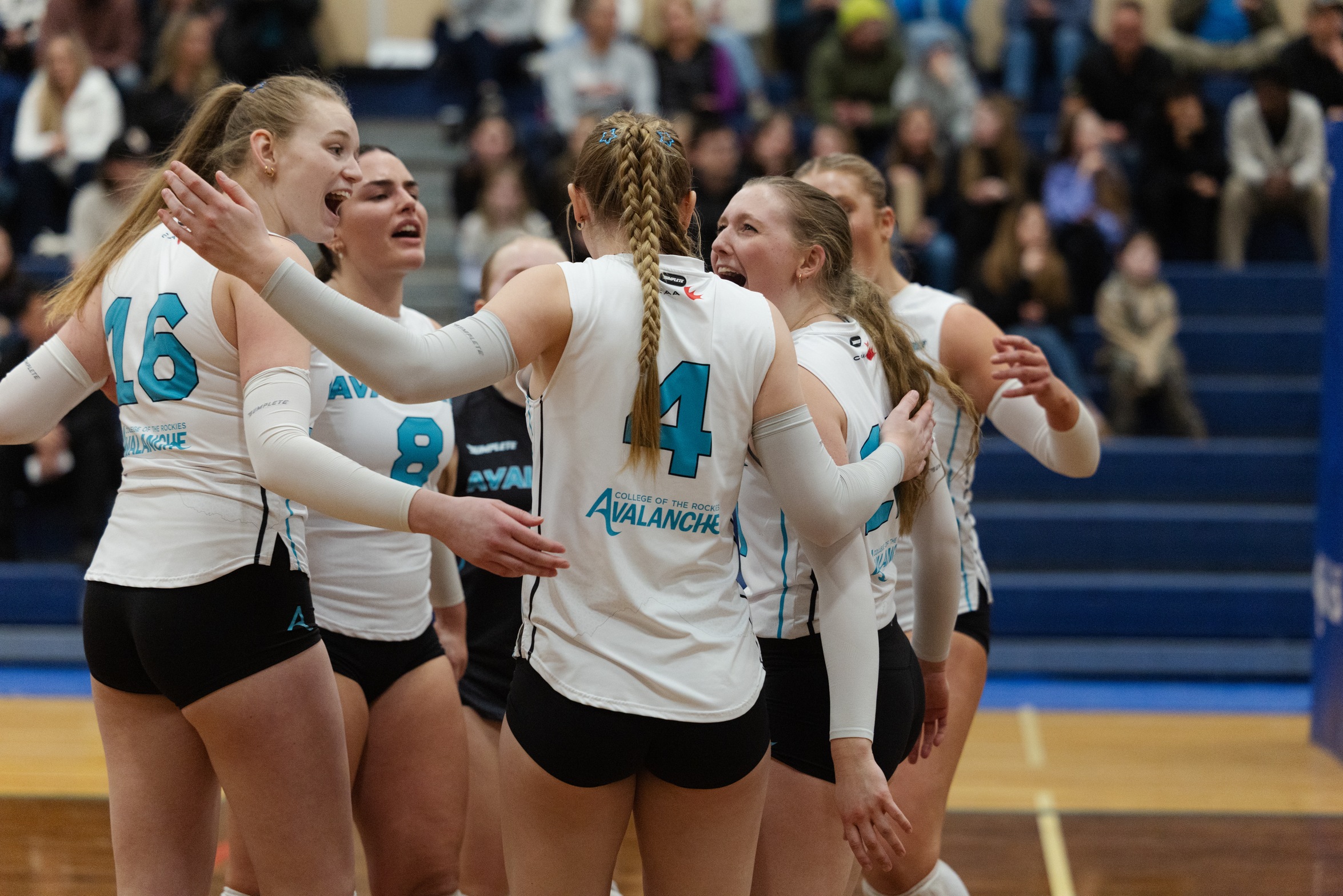 Weekly Avalanche Report: Avalanche show big fight in tough weekend against nationally ranked VIU