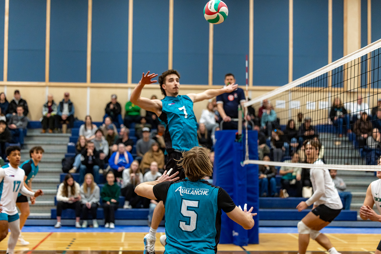 Men's Volleyball Avalanche Report: Week 13