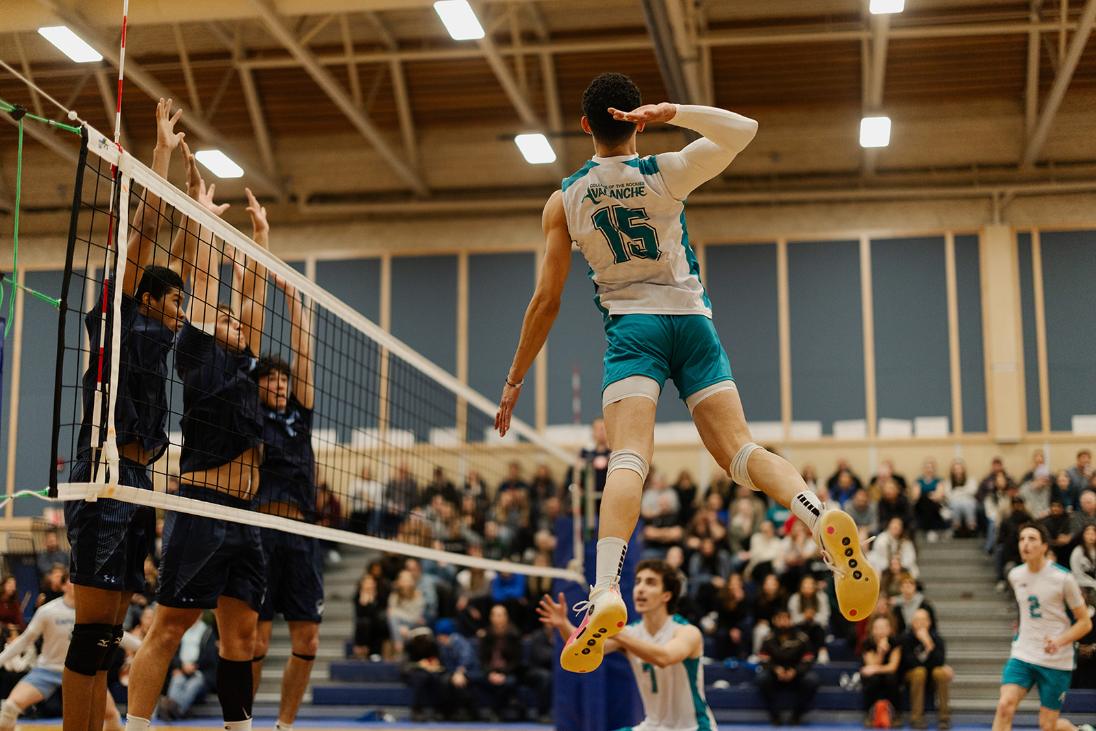 Men's Volleyball Avalanche Report: Week 9
