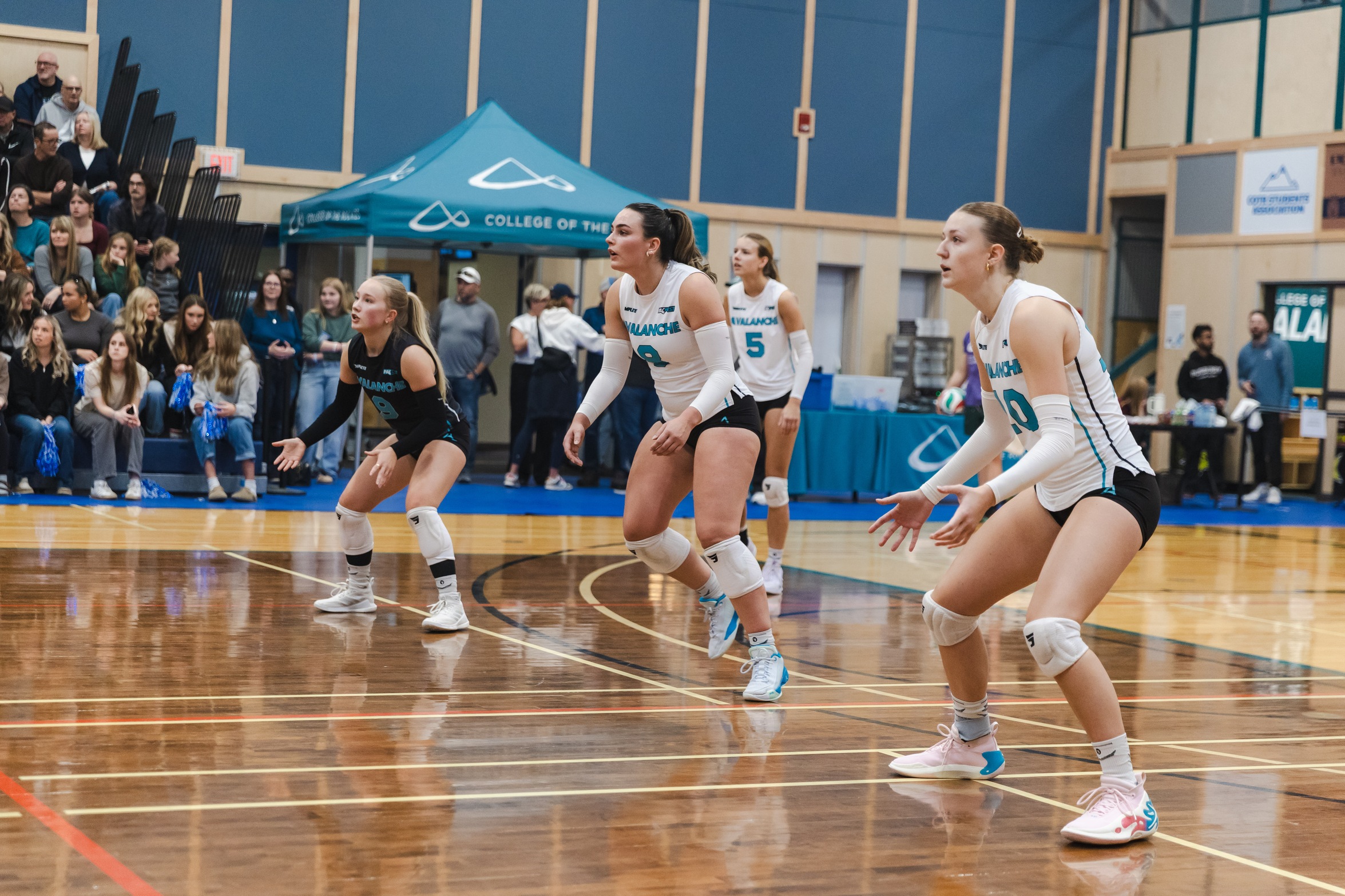 Weekly Avalanche Report: Women&rsquo;s Volleyball sweeps opening weekend